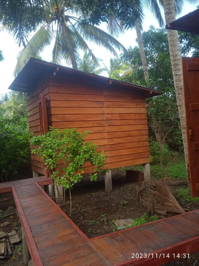 Coco Cabins By Thush 本托塔 外观 照片